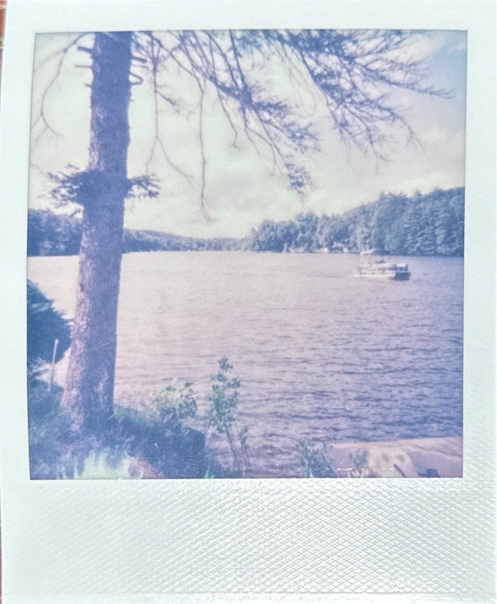 Polaroid of the&nbsp;Day
