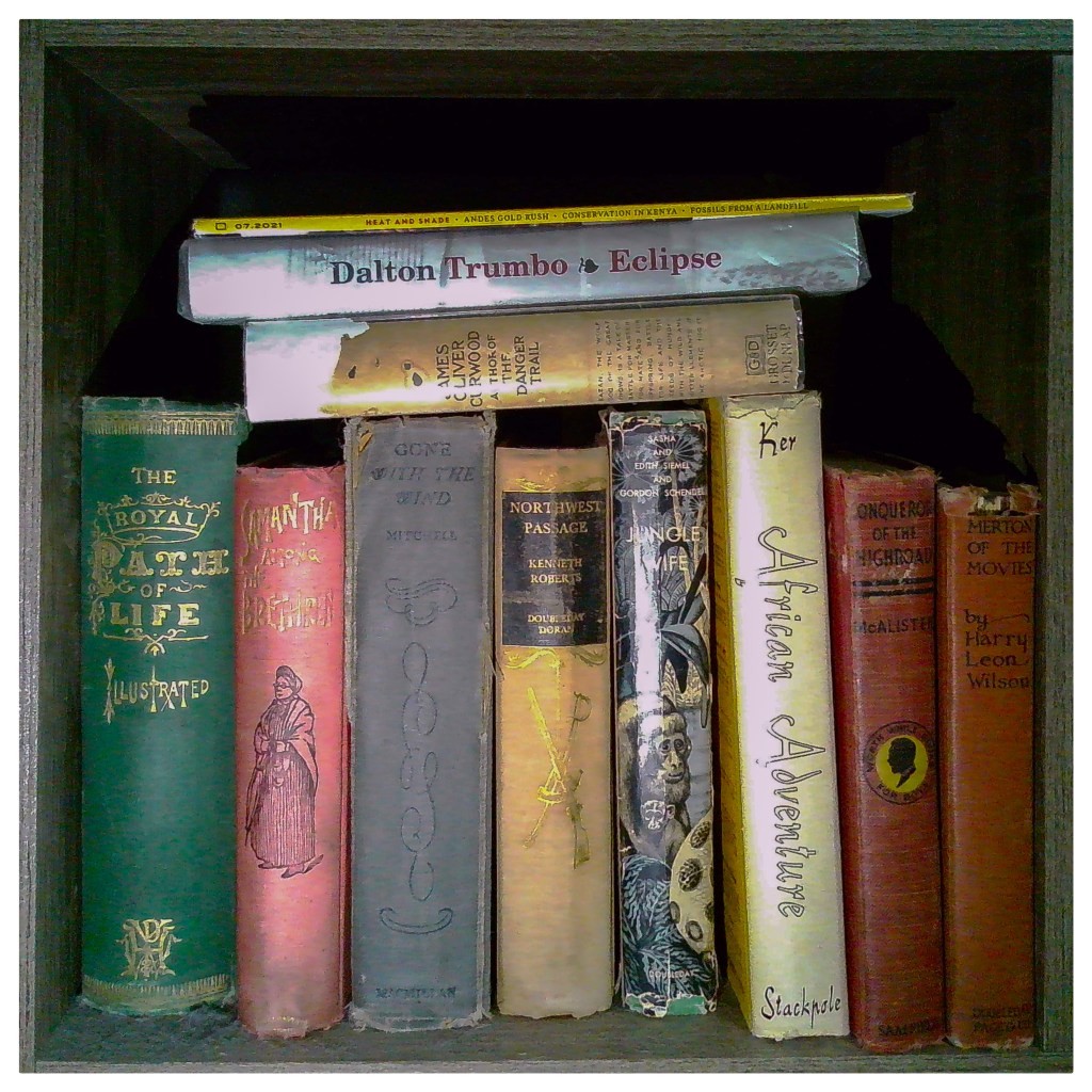 Calling All Readers: I Need Your Help! 📚